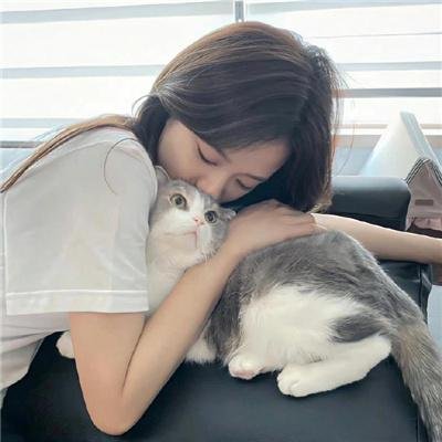 天下笨贼